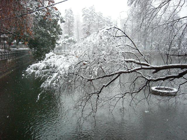 鉴湖雪景